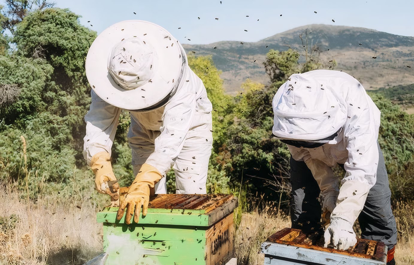 The green hive at the Meadow Apiary