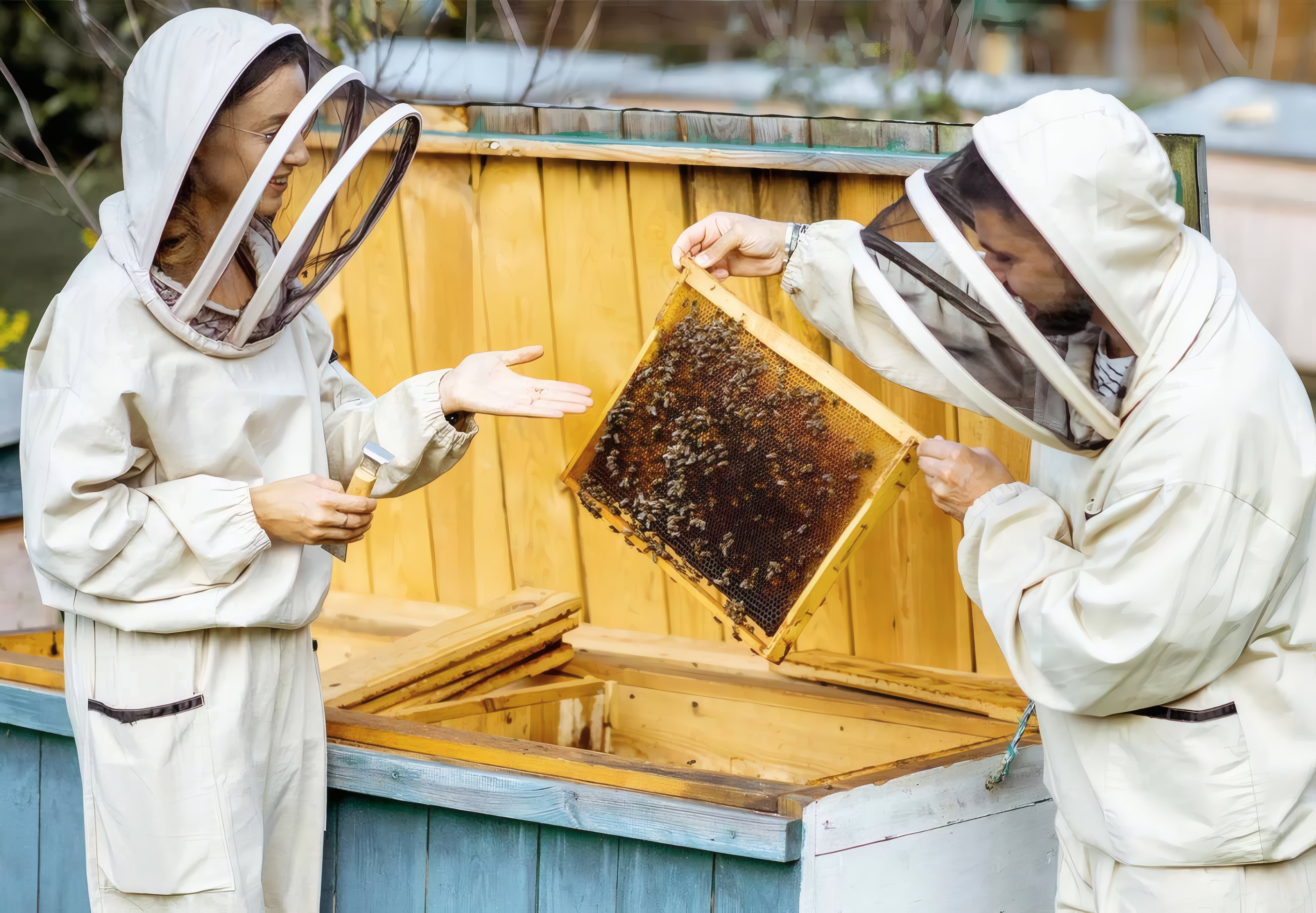 Beekeeping Weekend