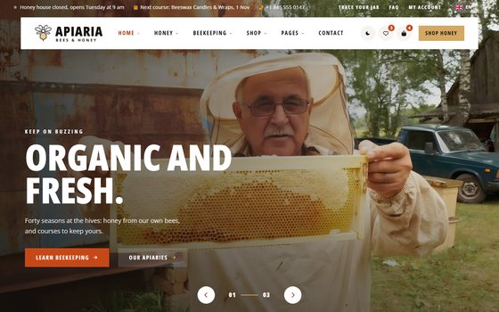 The Apiary preview