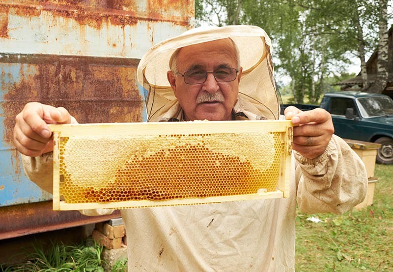 Gregory Silva, Head Beekeeper