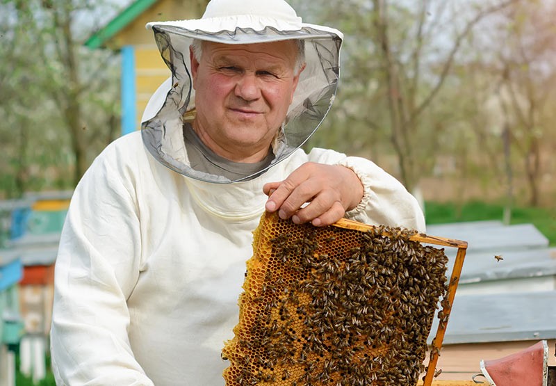 Roger Porter, Field Technician