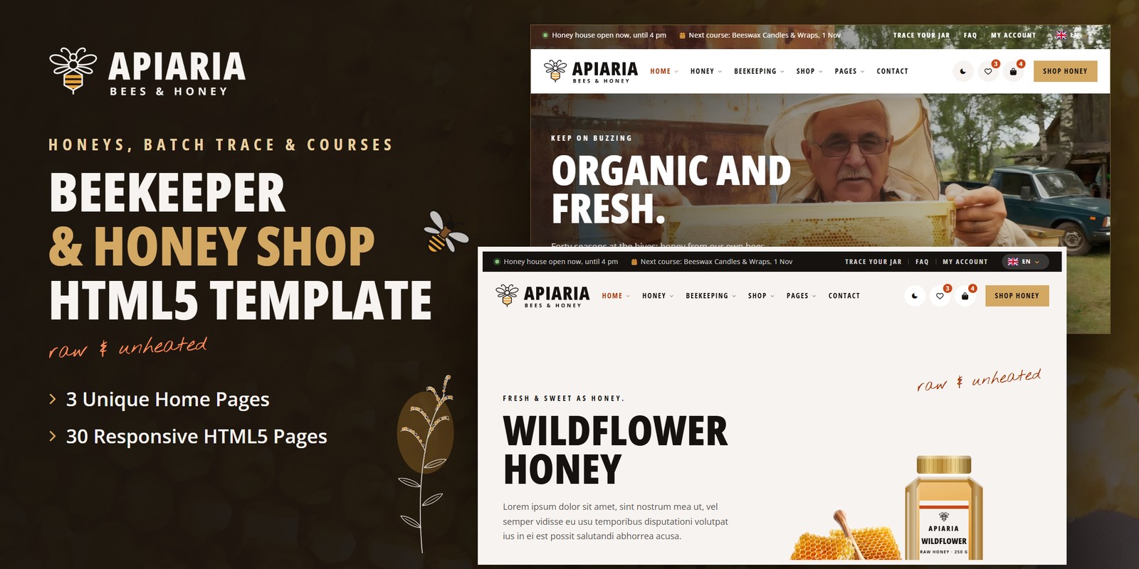 Apiaria template home pages