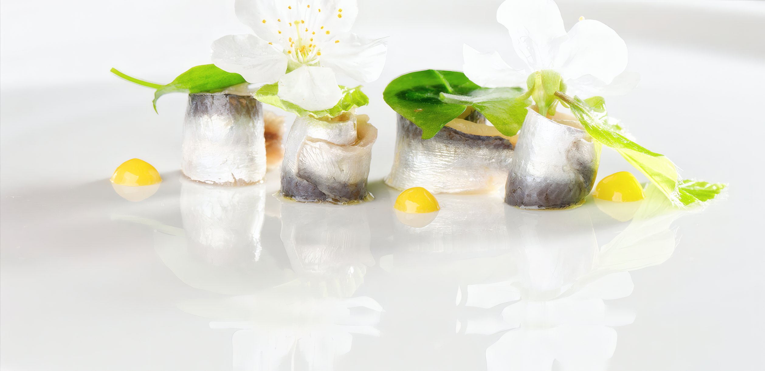 Herring, Elderflower, Dill