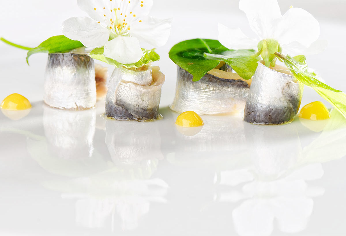 Herring, Elderflower, seen from above
