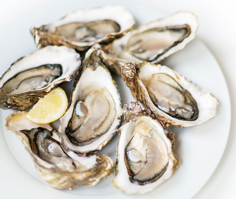 Rock Oysters, Dozen