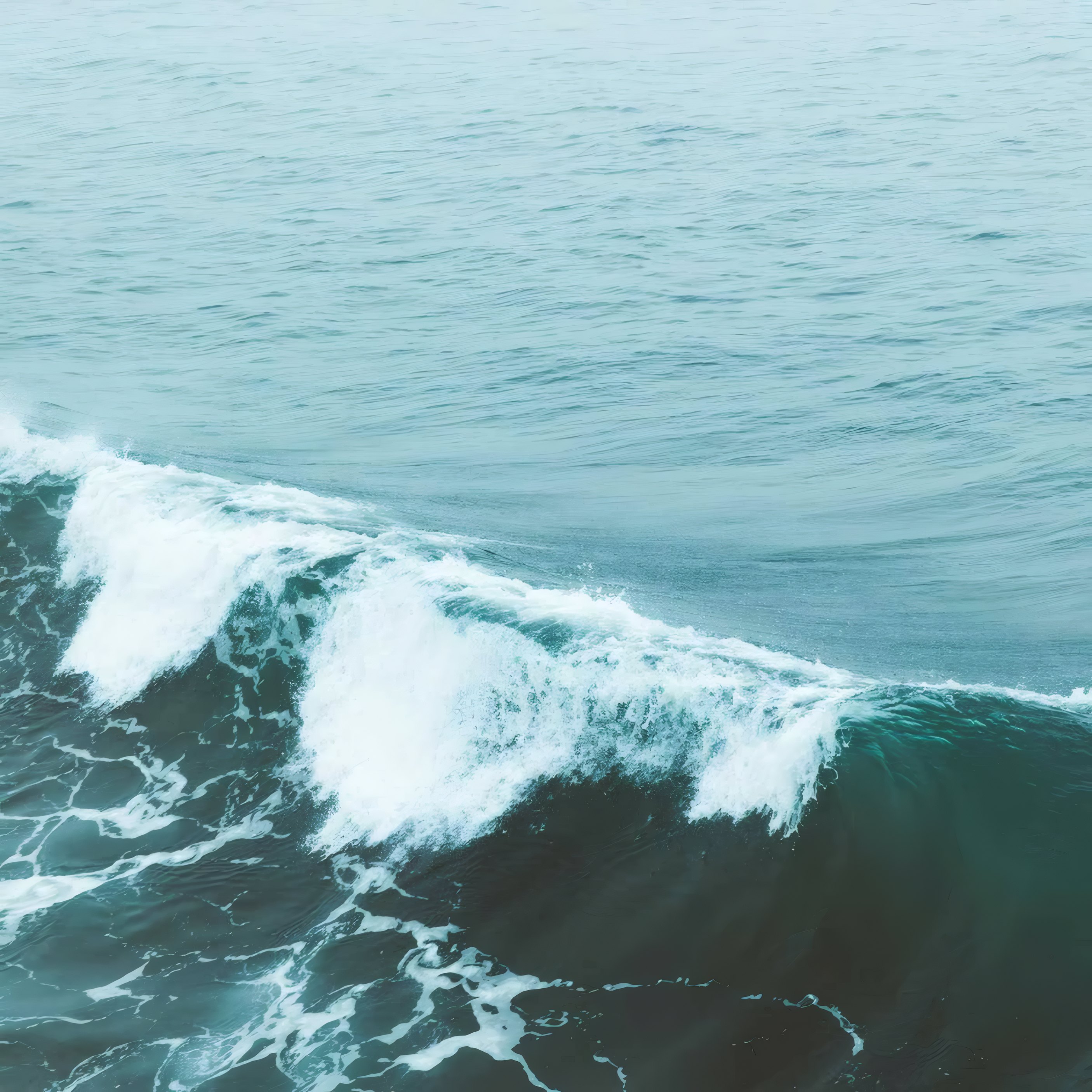 A wave rolling in, seen from above