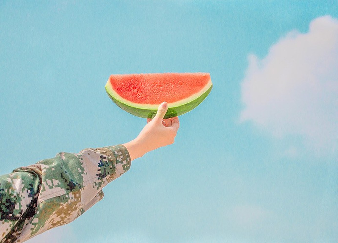Drawing The Citrus Print