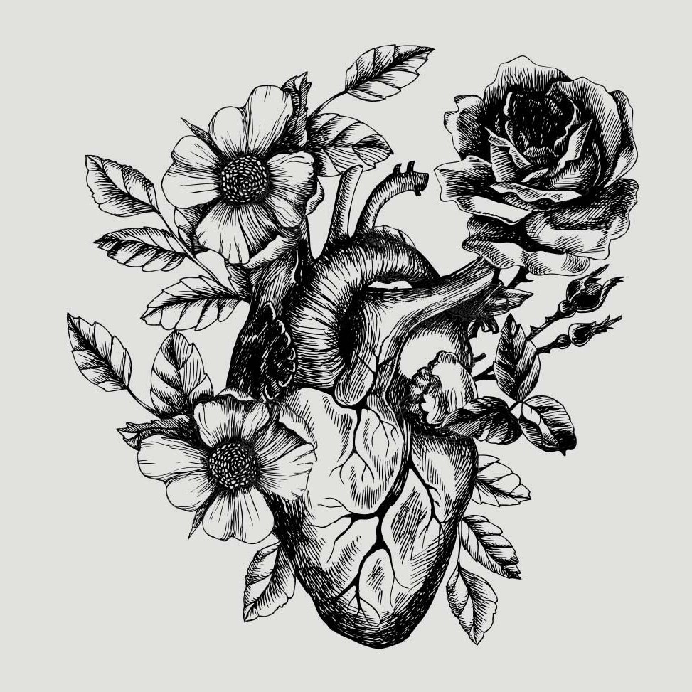 Anatomical Heart, a flash design