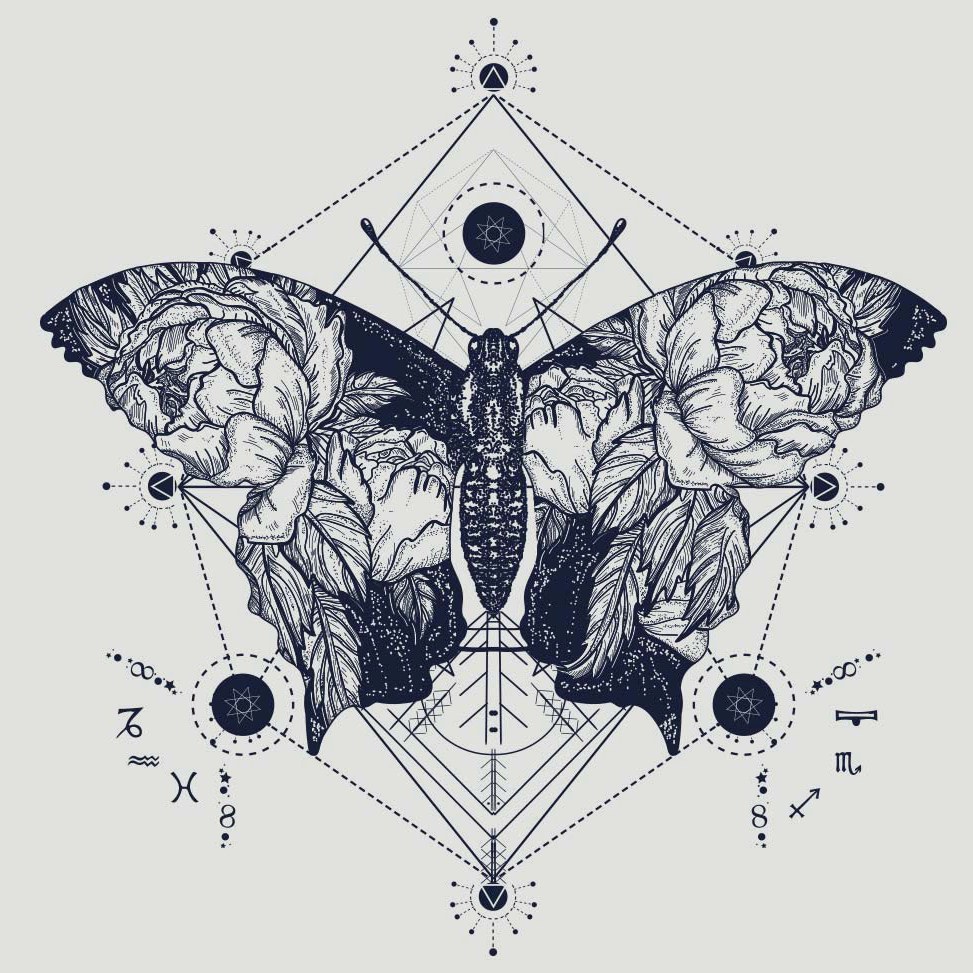 Night Moth, a flash design
