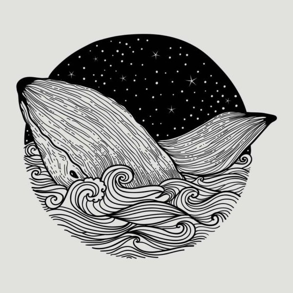 Whale & Moon, a flash design