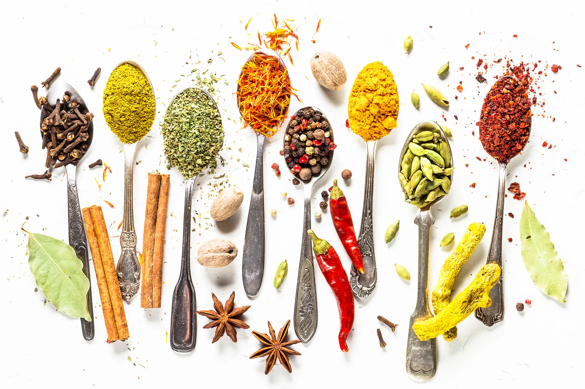 A row of spoons holding different whole spices
