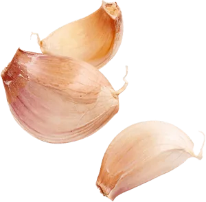 Dried Garlic Cloves