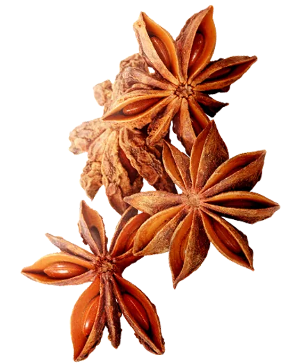 Whole Star Anise