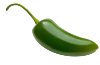 Green Chilli Flakes