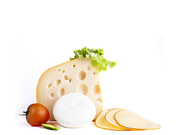Aged cheeses on a white table