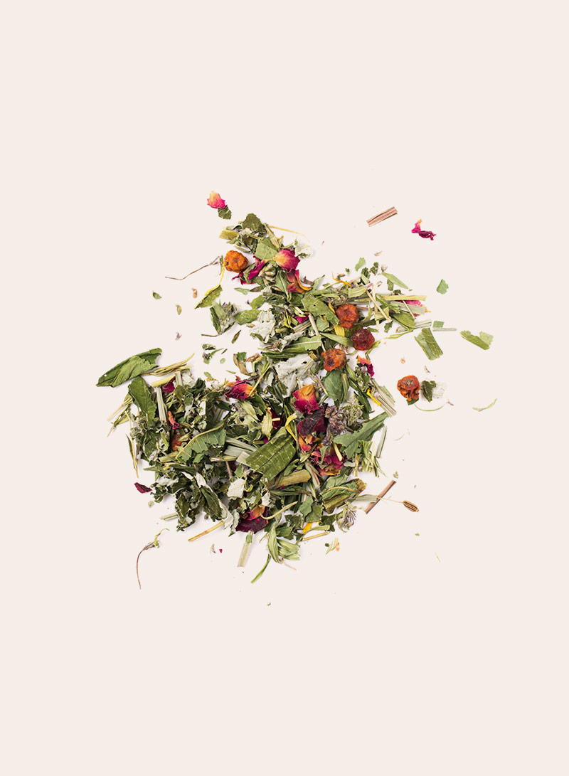 Berry Sencha loose leaf tea