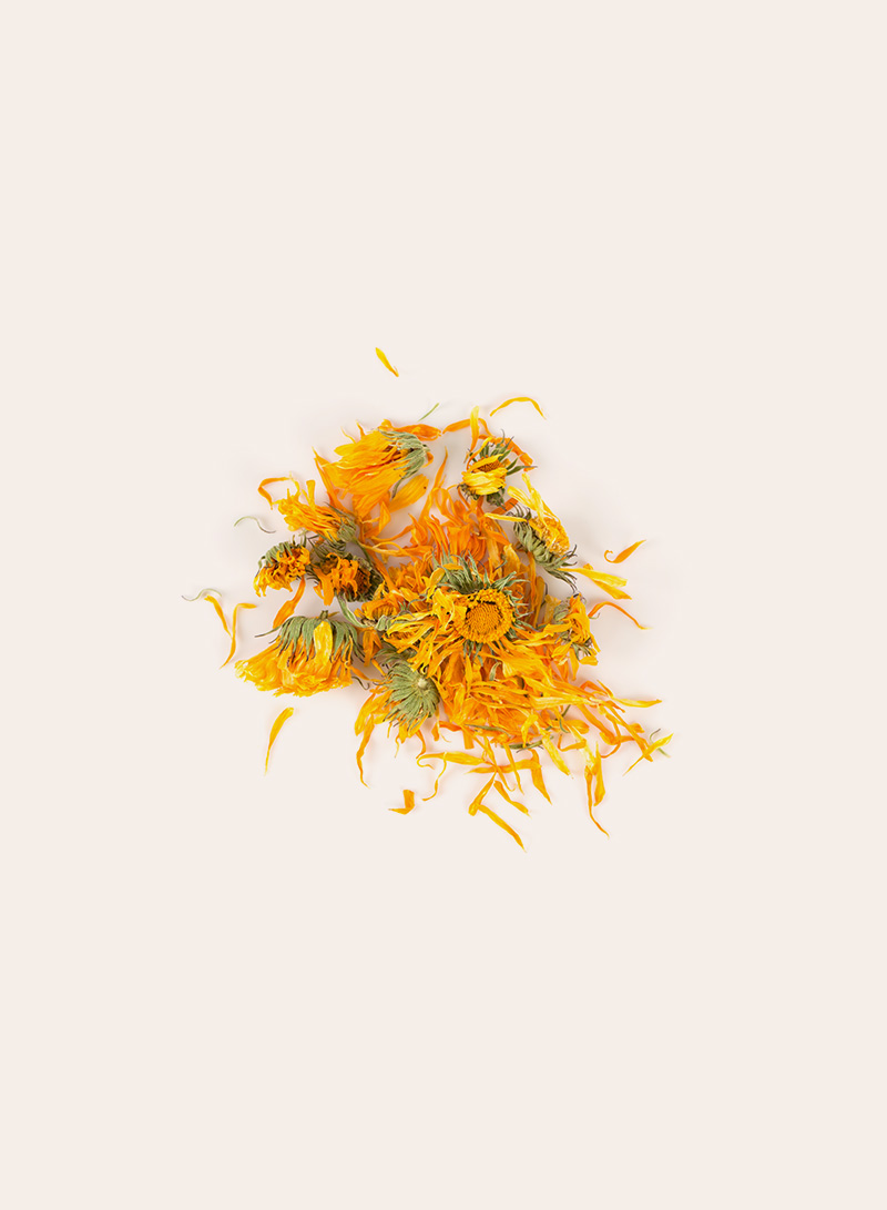 Calendula Sun loose leaf tea