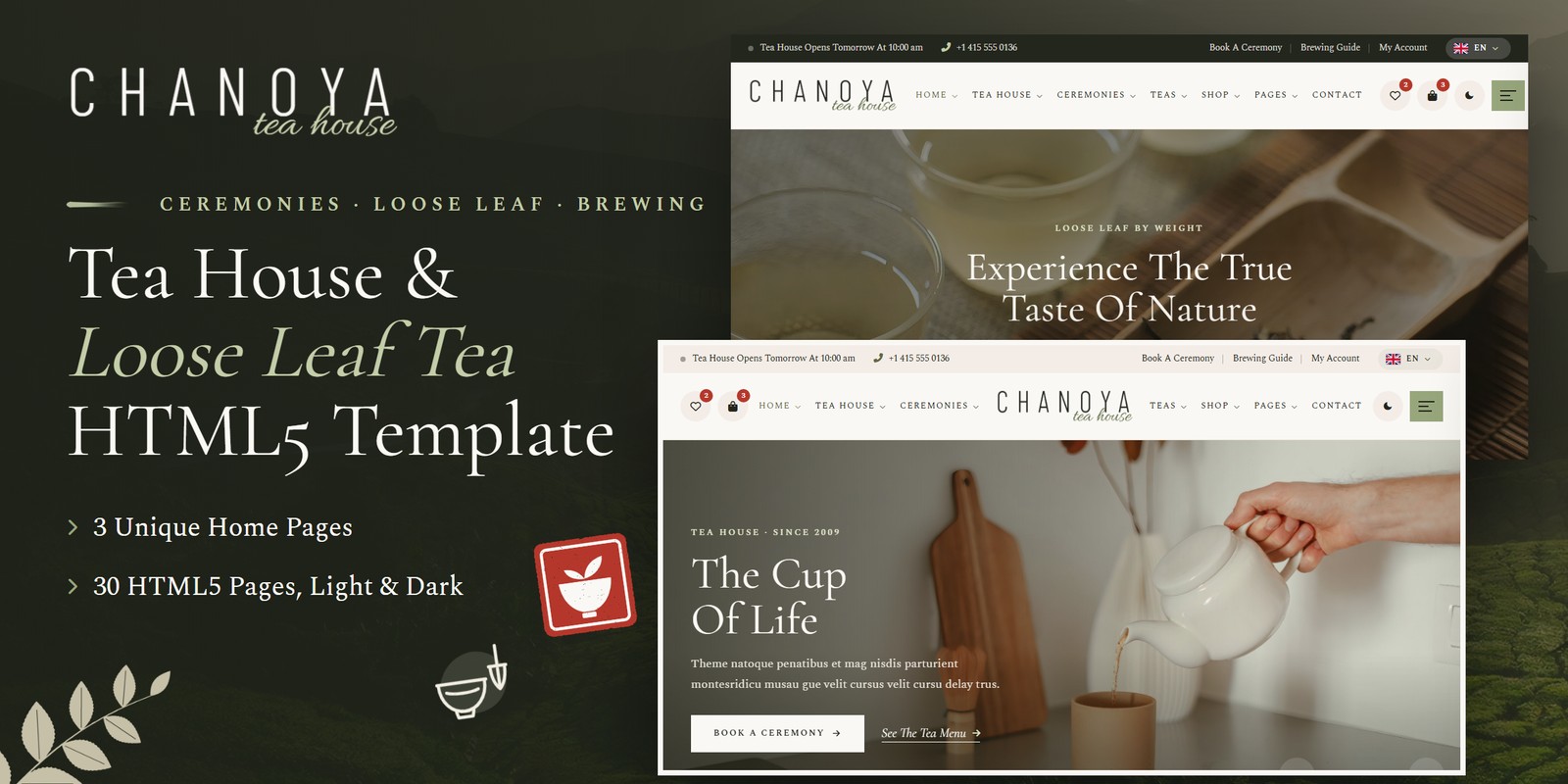 Chanoya template home pages