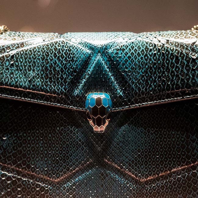 Snake Bag