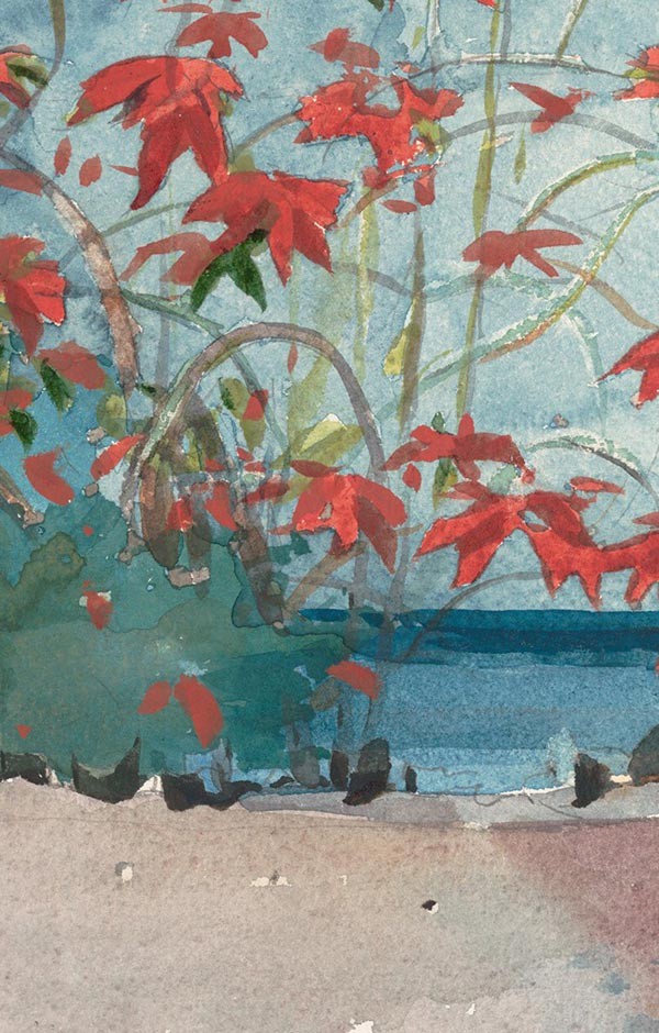 Maples By The Lake, Ada Lindqvist