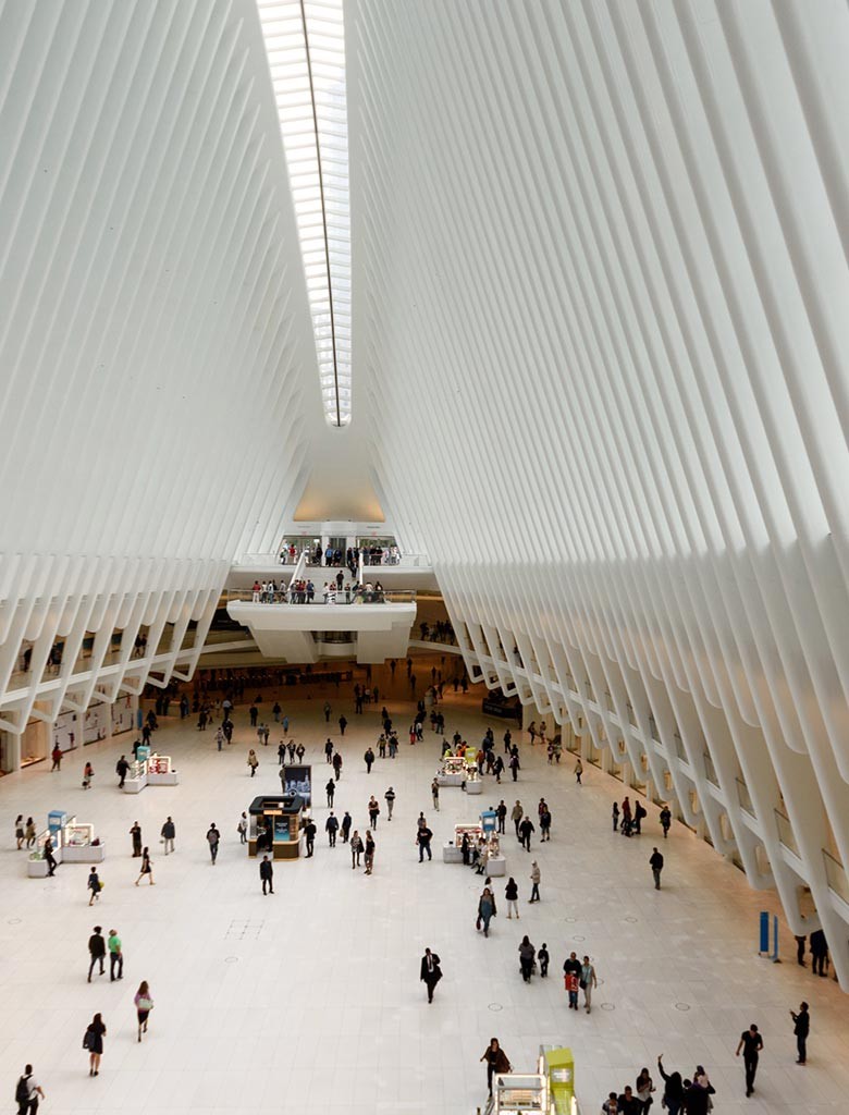 The white-ribbed hall from above