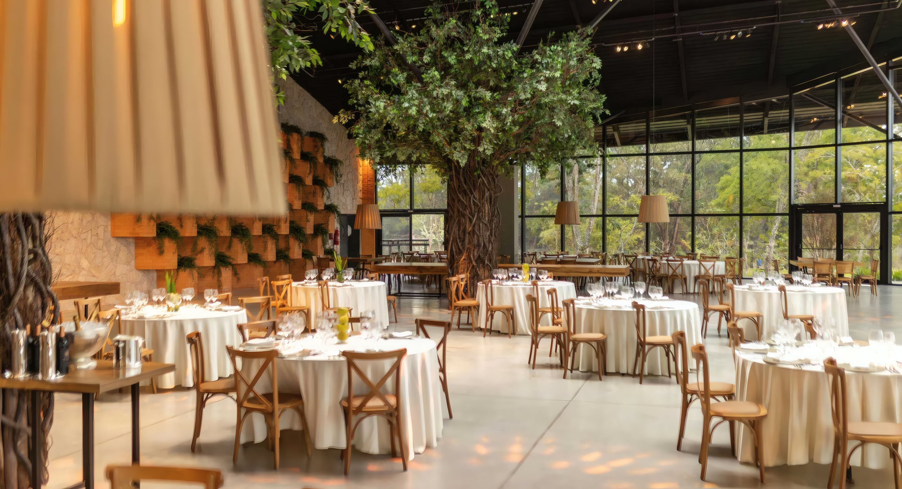 Round tables and an olive tree in the bright dining room