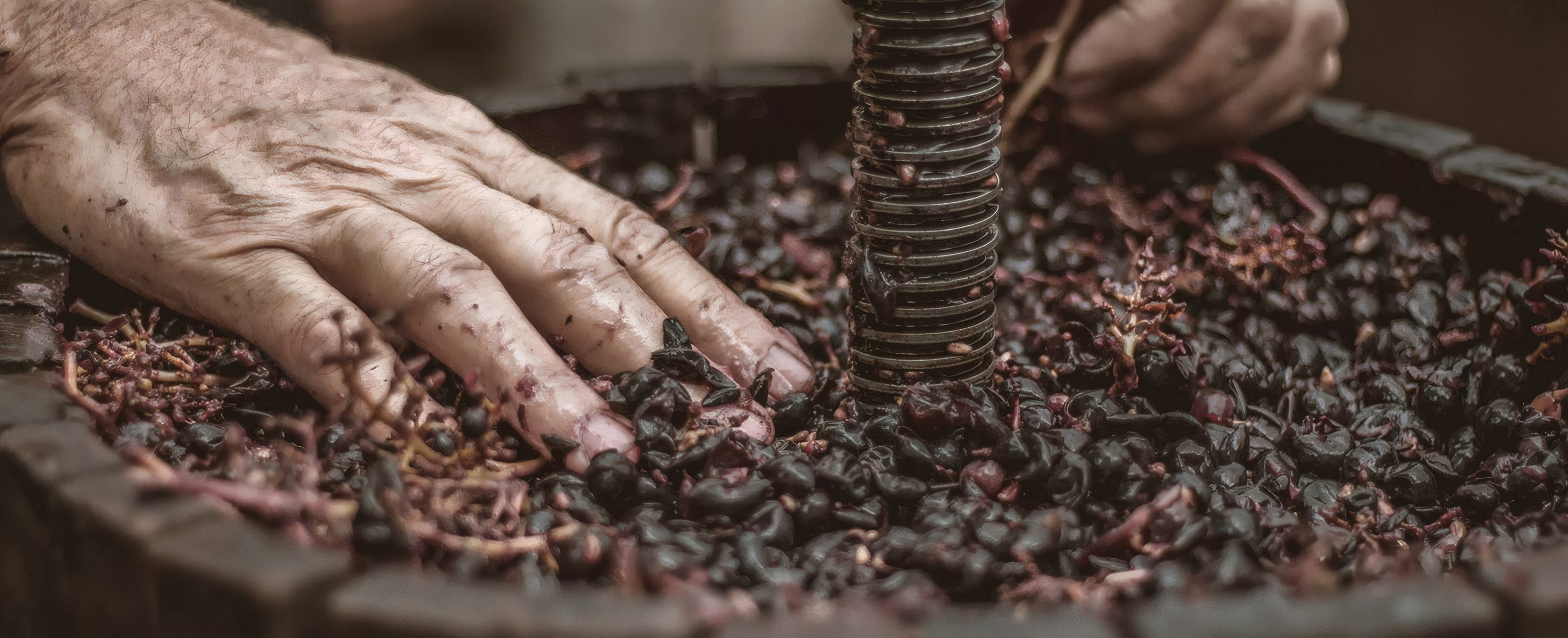 Grapes being pressed by hand in a basket press