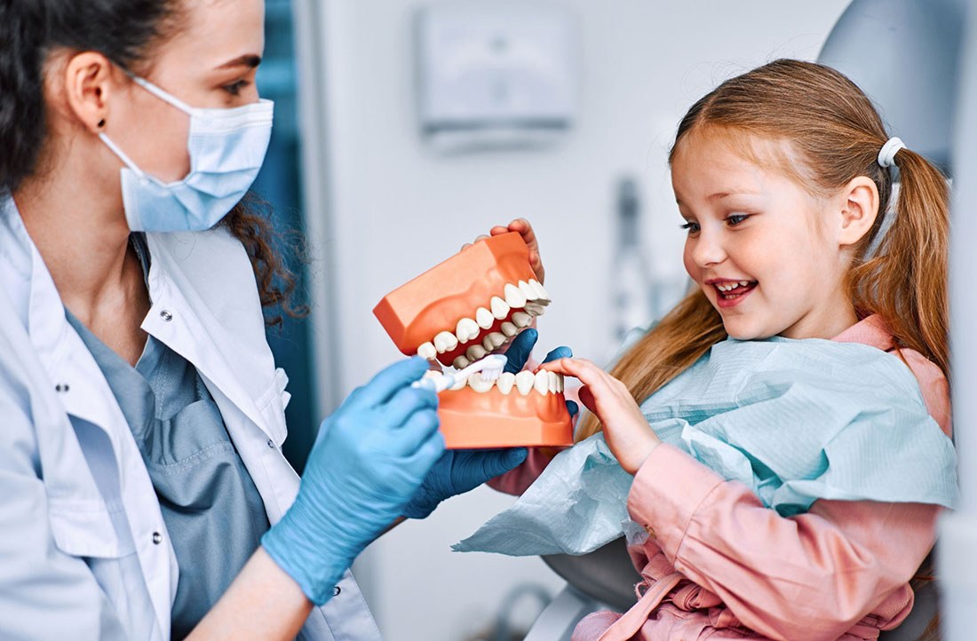 A dentist showing a girl a jaw model
