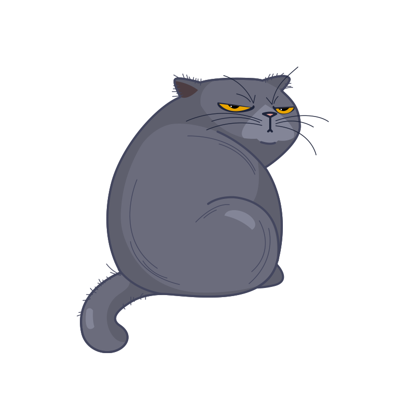 Grumpy Puss