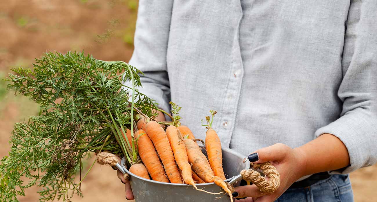 Tips For The Organic Gardener