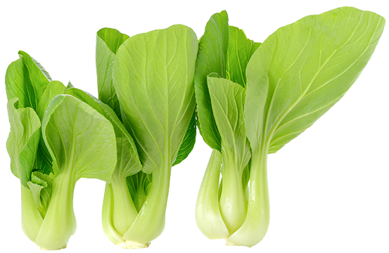Pak Choi