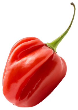Romano Peppers
