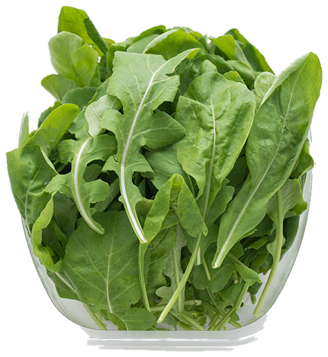 Wild Rocket