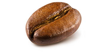 A coffee bean