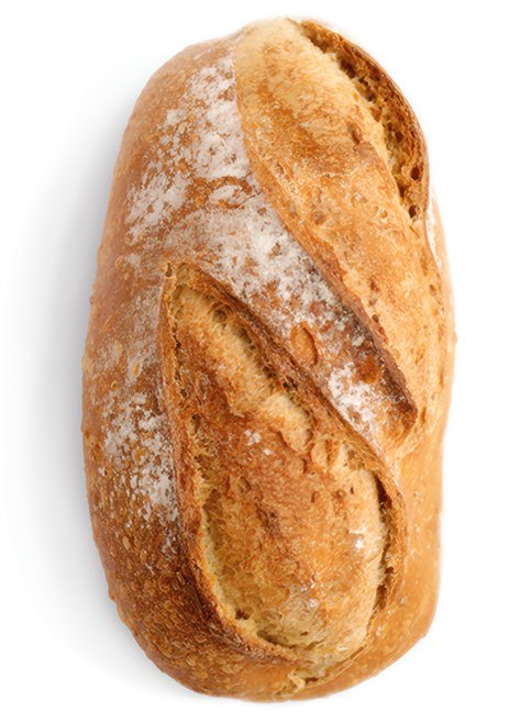 A rustic country loaf