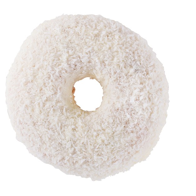 Snowy Coconut Donut