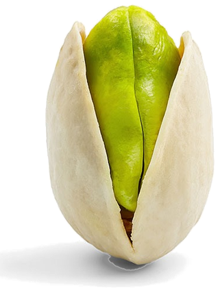 Salted Pistachios 40 g