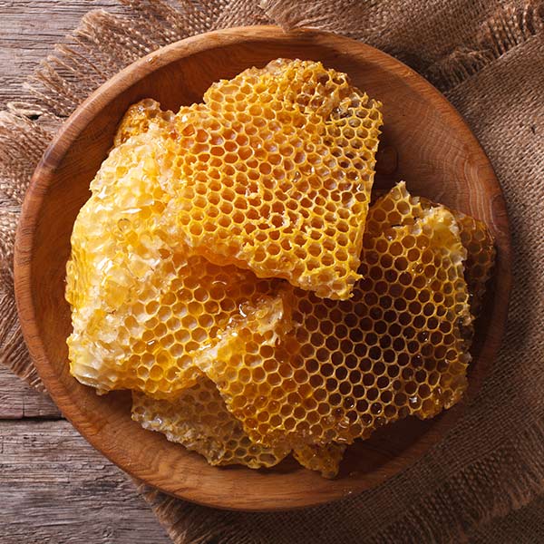 Honey Harvest Open Day