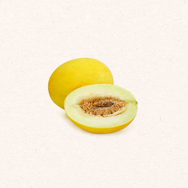 Canary Melon