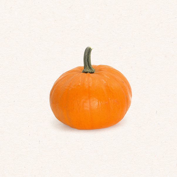 Sugar Pumpkin