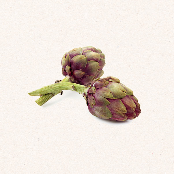 Purple Artichokes