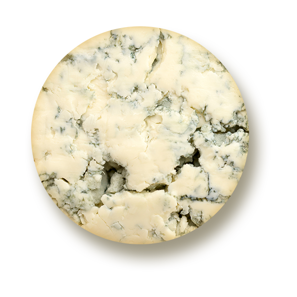 Gorgonzola Cheese