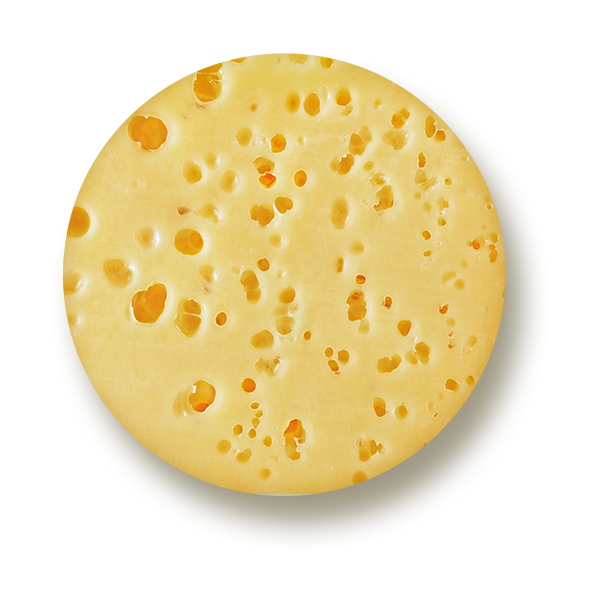 Gouda Cheese