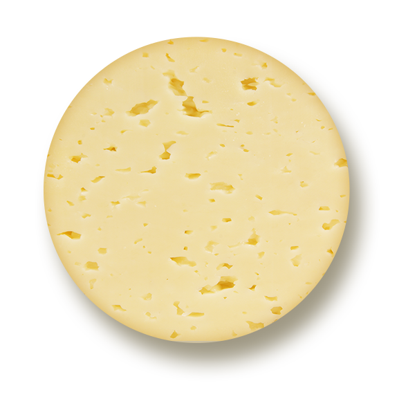 Cheddar Cheese