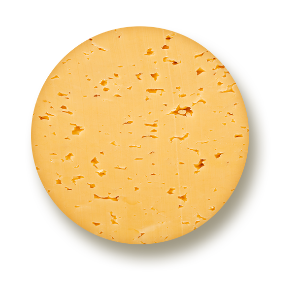 Muenster Cheese