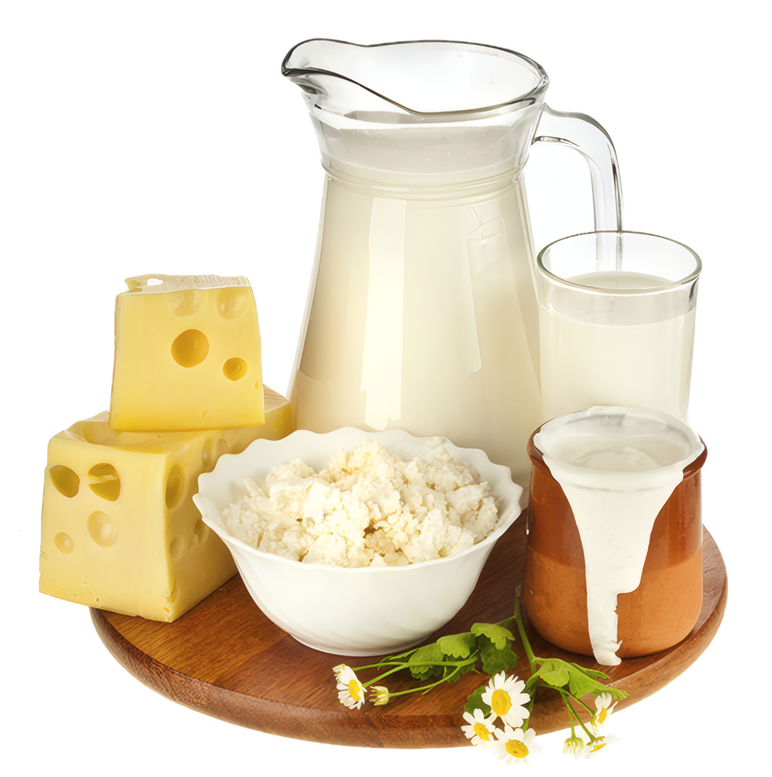 Milk, cheese and cottage cheese on a wooden board