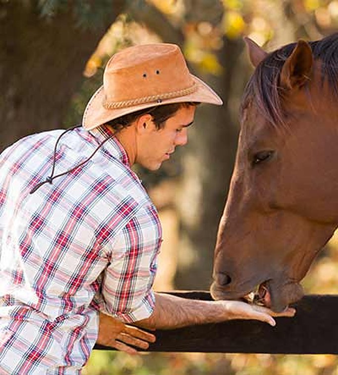 Tom Wheeler, Livestock Carer
