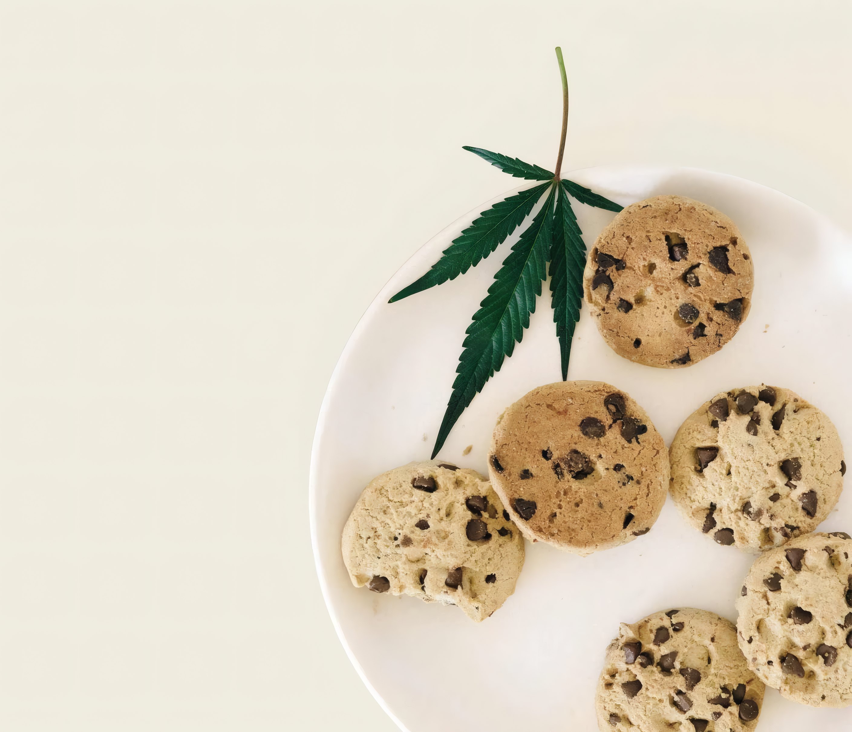 Oat cookies on a white plate beside a hemp leaf