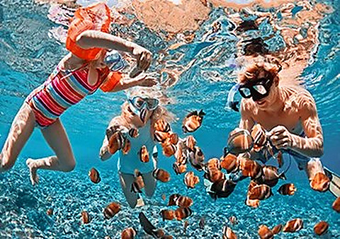 Snorkellers above the reef pool