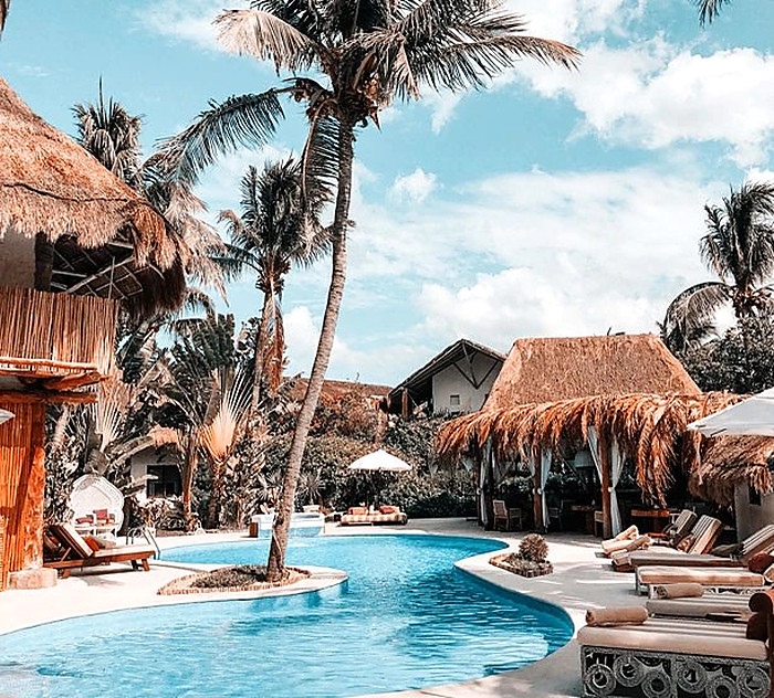 The resort pool under the palms